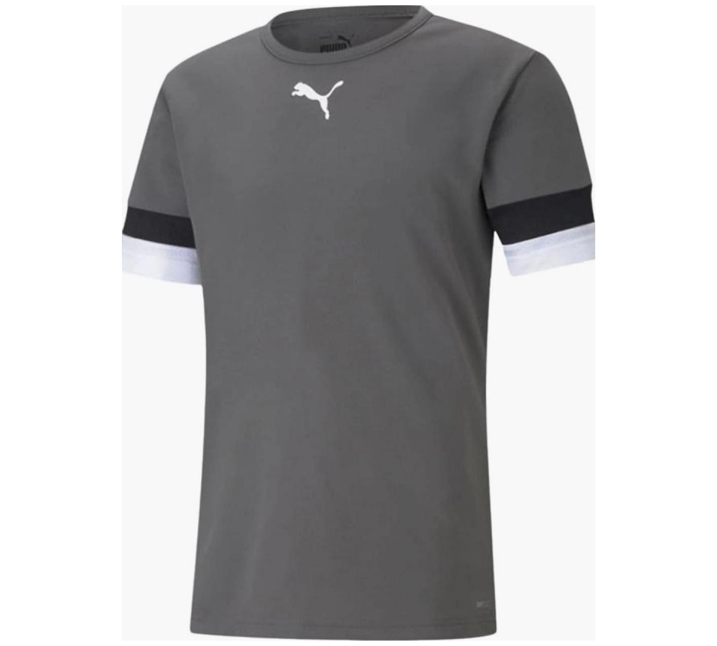Футболка Puma teamRISE Jersey сірий Чол