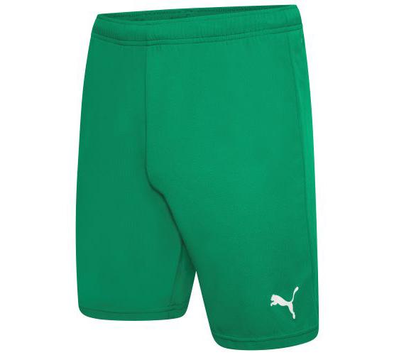 Шорти Puma teamRISE Short зелений Чол