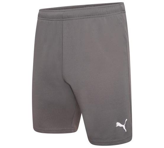 Шорти Puma teamRISE Short сірий Чол